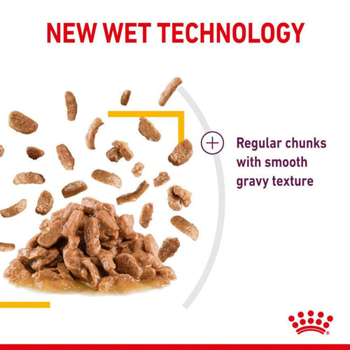 Royal Canin Feline Health Nutrition Sensory Taste Adult Cat Food in Gravy 12x85g - Get Set Pet