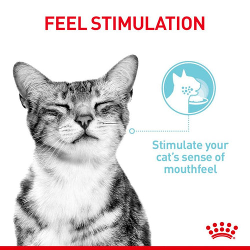 Royal Canin Feline Health Nutrition Sensory Variety Pack Adult Cat Food in Gravy 12x85g - Get Set Pet