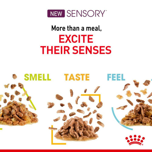 Royal Canin Feline Health Nutrition Sensory Variety Pack Adult Cat Food in Gravy 12x85g - Get Set Pet