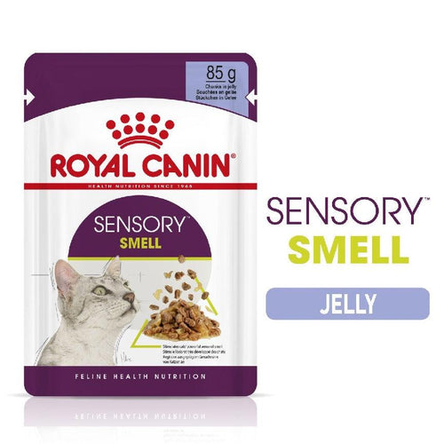 Royal Canin Feline Health Nutrition Sensory Smell Adult Cat Food in Jelly 12x85g - Get Set Pet