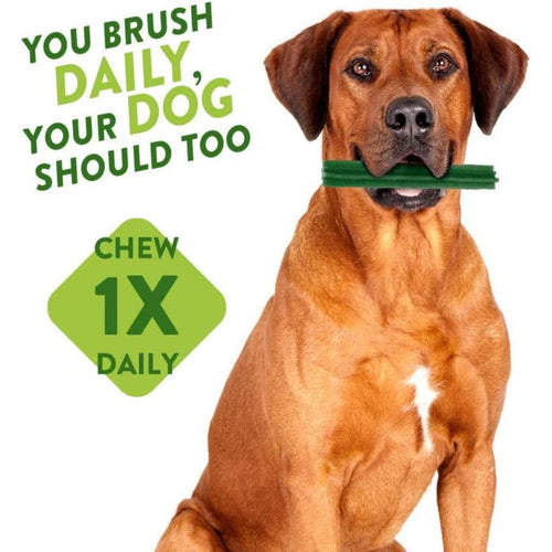 Whimzees Natural Dog Dental Chew Rice Bones - Get Set Pet
