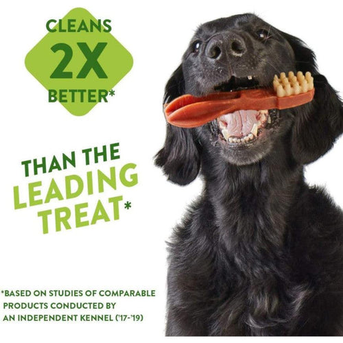 Whimzees Natural Dog Dental Chew Alligator - Get Set Pet